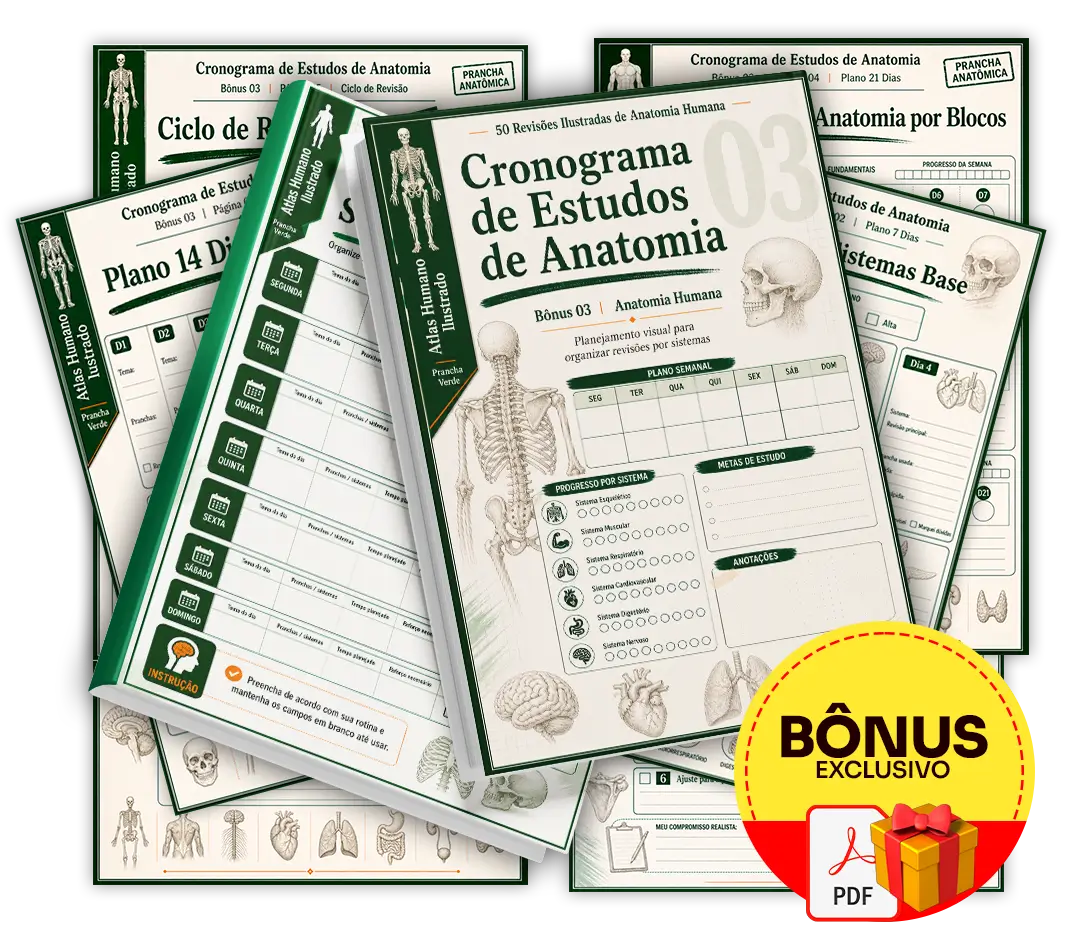 Mockup do bônus Cronograma de Estudos de Anatomia