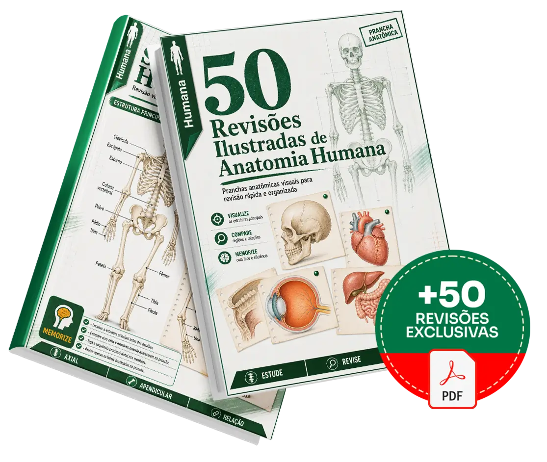Mockup do Plano Básico - 50 Revisões Ilustradas de Anatomia Humana