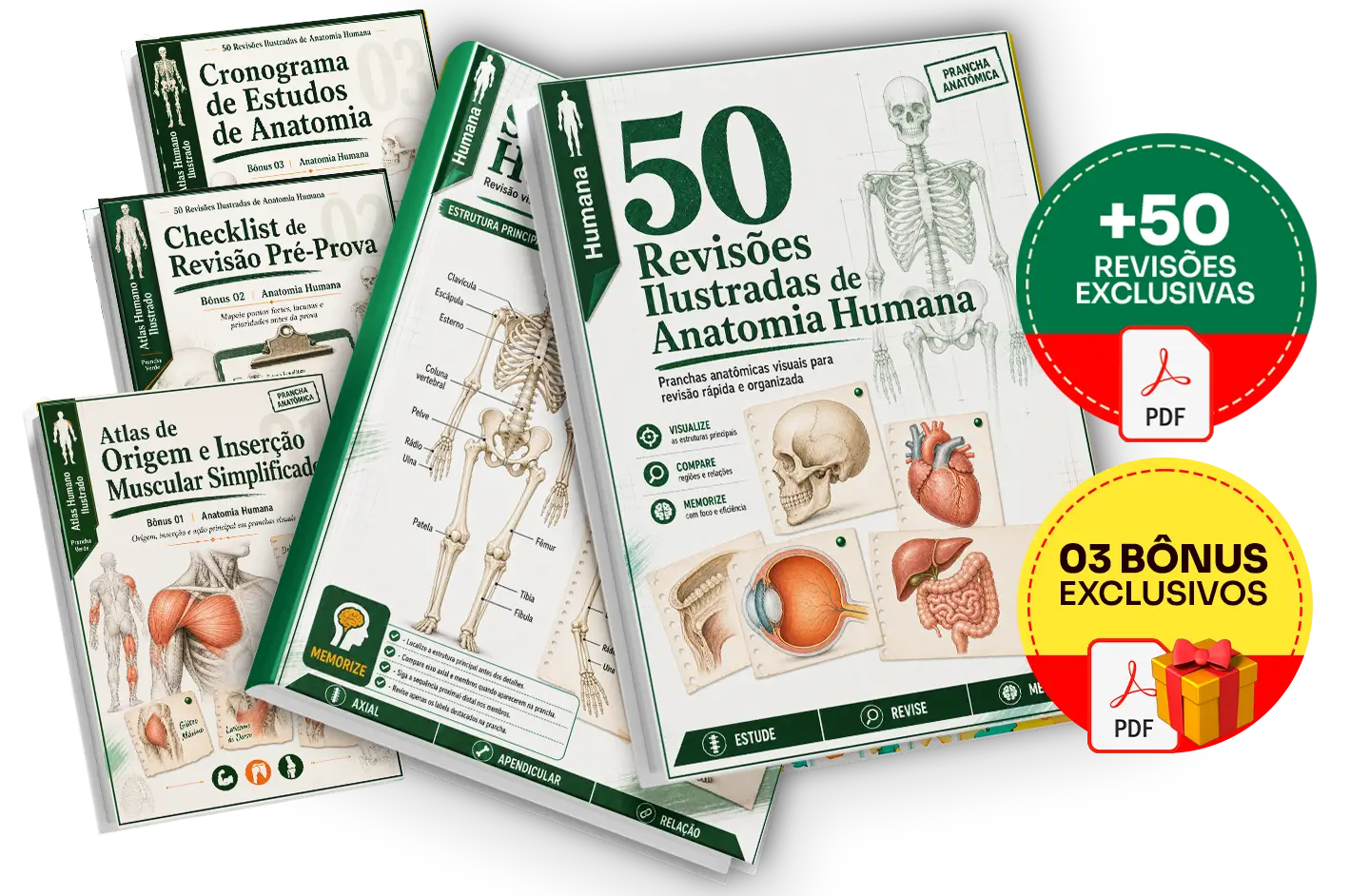 Mockup do Plano Completo - 50 Revisões Ilustradas de Anatomia Humana e bônus