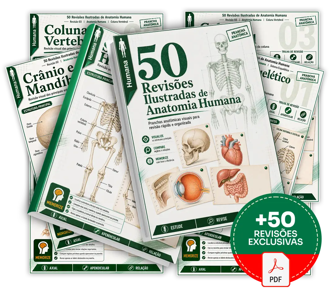 Mockup do material 50 Revisões Ilustradas de Anatomia Humana